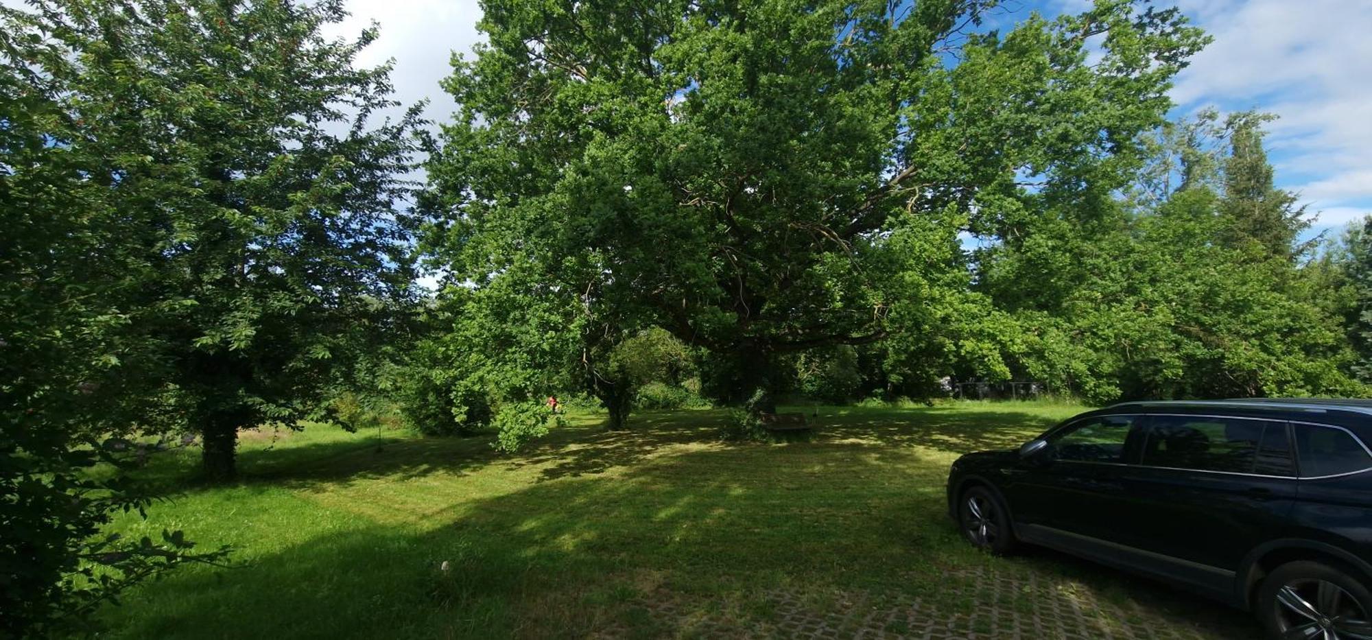 Ferienwohnung Darkwolf House Merseburg Exterior foto